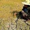 Incorporan perspectiva de género en políticas de respuesta al cambio climático en Vietnam