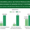 Desarrollan el sector de producción de macadamia de manera eficaz y sostenible