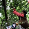 Festival de cosecha de ciruelas en meseta de Moc Chau 