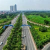 Hanoi refuerza cobertura de árboles en carreteras urbanas 