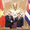 Vietnam y Cuba profundizan sus nexos de amistad especial