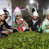 Proyectos agrícolas contribuyen al desarrollo de áreas montañosas en Vietnam