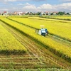 Sostenibilidad avanzará en Vietnam con nueva estrategia de desarrollo agrícola