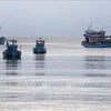 Sector pesquero vietnamita por desarrollarse de manera moderna y sostenible