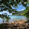 Parque Nacional de Con Dao implementa proyecto de ecoturismo