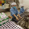 Espacio abierto para un mayor desarrollo de la industria láctea de Vietnam