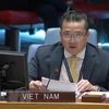 Vietnam apoya cooperación entre CSNU y Consejo de Paz y Seguridad de UA