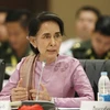 Myanmar urge tregua de paz a grupos armados 