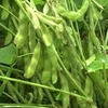 Tailandia elimina impuestos sobre importaciones de soja