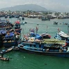 Tra Vinh apoya a los grupos cooperativos en la pesca en alta mar