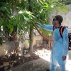 Provincia survietnamita de Dong Nai detecta primer caso del Zika