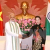 Impulsan Vietnam e India cooperación en tecnología informática