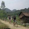 Pueblo apacible Hai Phong atrae turistas