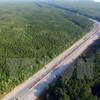 Ciudad Ho Chi Minh invierte millones de dólares para protección forestal