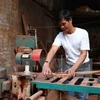 Vietnam y Sudcorea comparten experiencias de crear empleos para discapacitados 