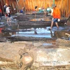 Vietnam y desafíos en preservación de antigüedades en el mar 