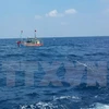 Buscan a pescadores vietnamitas desaparecidos en el mar