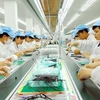 Sector manufacturero de Vietnam, segundo mayor PMI en Sudeste Asiático