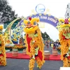 Celebrarán en Hanoi Festival “Color de la primavera en todo el país 2017”