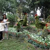 Más de 800 mil personas asistieron a Festival de Flores en Ciudad Ho Chi Minh 