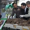 Policía tailandesa incauta cantidad récord de escamas de pangolín 
