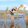 Despliegan en Vietnam proyecto de preservación de humedales