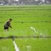 Provincia vietnamita fomenta apoyo a agricultores ante cambio climático