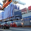 Puerto marítimo de Vietnam recibe gigante portacontenedor de clase Triple-E
