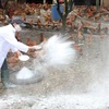 Vietnam intensifica medidas preventivas contra gripe aviar