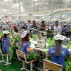 Crece capital registrado de inversiones extranjeras en Vietnam 