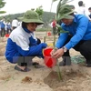 Proyecto estadounidense ayuda a proteger medioambiente en Vietnam