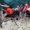 EE.UU. ayuda a Vietnam a mejorar capacidad contra desastres naturales