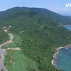 Montaña Son Tra declarada sitio turístico nacional de Vietnam 