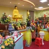 Provincia vietnamita acogerá el Día Cultural del Budismo de India
