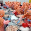 Vietnam insiste en pedir a Australia levantar bloqueo a exportaciones de camarones 