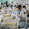 Industria de confección textil de Vietnam sigue desarrollando pese a dificultades