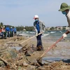 Ha Tinh lanza campaña de limpieza de playas