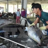 Vietnam invierte en reestructuración del sector acuícola