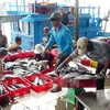 Vietnam continúa proceso de compensación a afectados por incidente ambiental