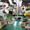 Vietnam registra ligero aumento de población activa en primer trimestre