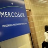 Impulsan diálogo entre ASEAN y Mercosur