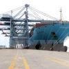 Puerto vietnamita de Cai Mep recibe carguero de 160 mil toneladas 