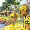 Efectuarán festival de flores en provincia altiplánica vietnamita