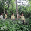 Vietnam implementa programa de reducción de degradación forestal