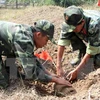 Desactivan una bomba de 240 kilógramos en provincia de Vietnam