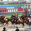 Inauguran mayor hipódromo en Vietnam 