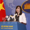 Vietnam rechaza enérgicamente la prohibición de pesca de China en el Mar del Este 