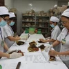 Simposio internacional destaca valores de medicina tradicional de Vietnam 
