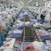 Exportaciones de peces marinos de Vietnam alcanzarán ocho mil millones de dólares en 2030