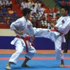 Karatecas vietnamitas ganan 22 medallas de oro en campeonato regional